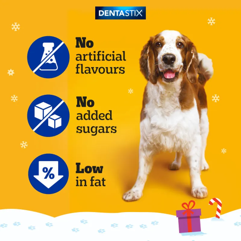 Pedigree Christmas Dog Treat Stocking-3